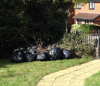 Garden clearance